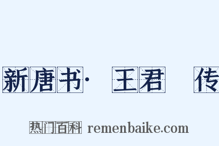 新唐书·王君㲋传是什么意思的图片